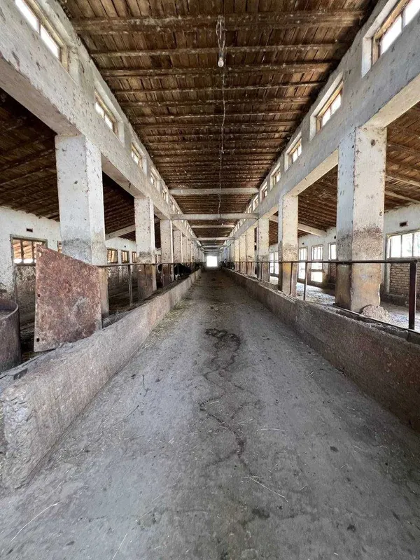 Yer sotiladi, 4 gektar (4600$) — фото 4