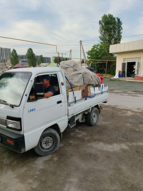 Musir olib ketamiz Musir olib ketamiz