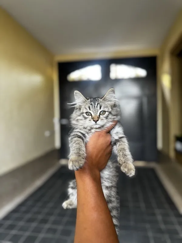 Runet pornosini onlayn tomosha qiling Karachay porno