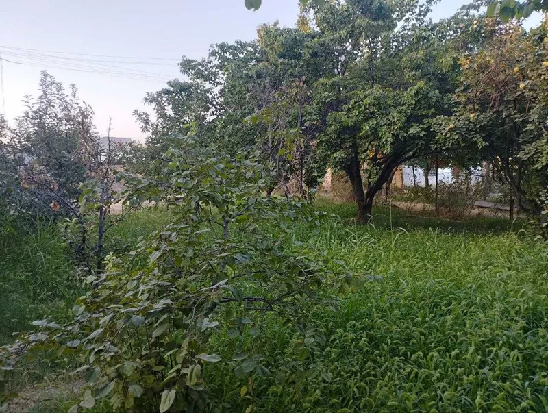 Дала Ховли 10,5 соток — фото 3