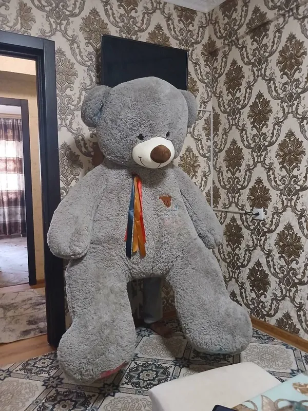 igurushka ayiqcha