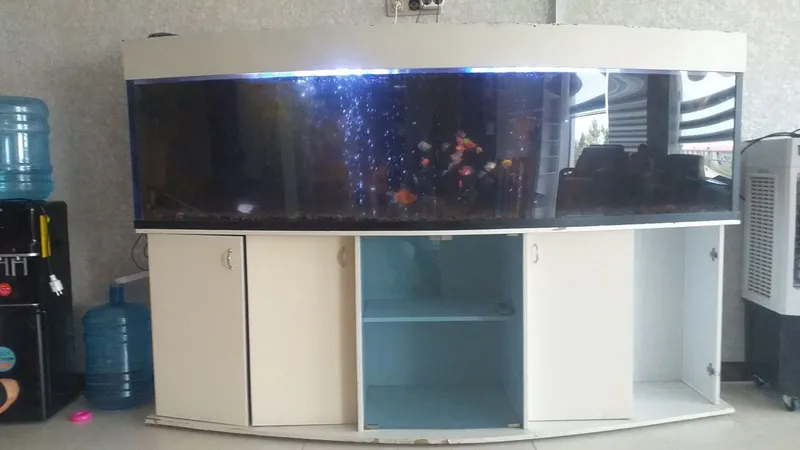 Аквариум akvarium 2 Аквариум akvarium 2
