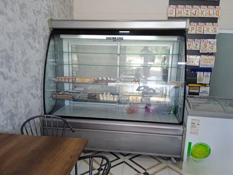 Electro steel yangi 3