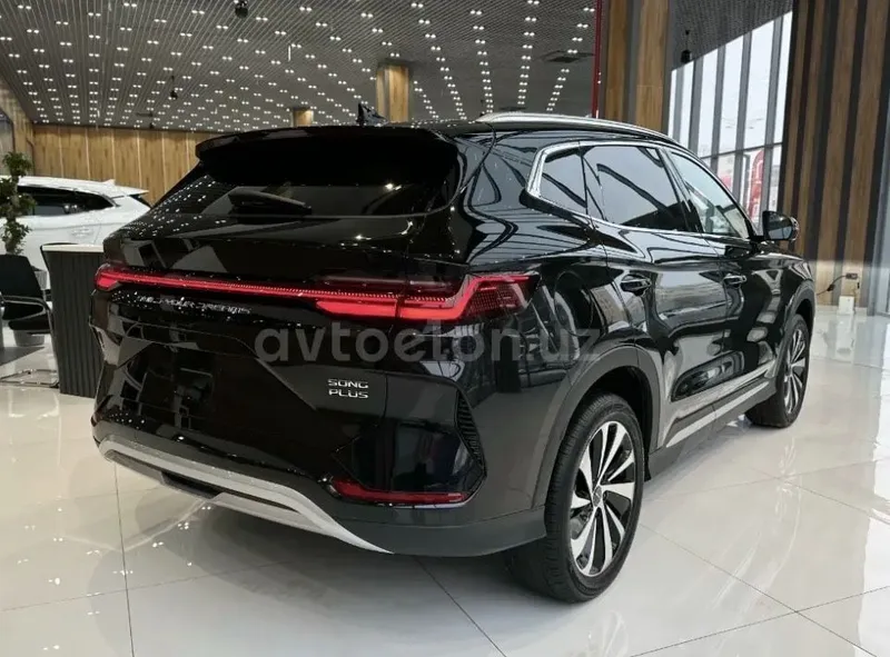 Byd Champion elektro full 605km — фото 2