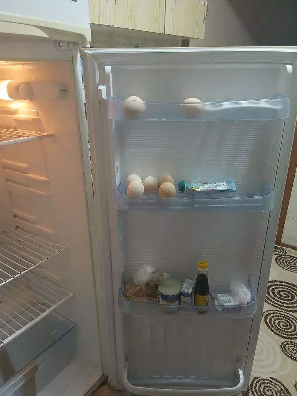 NORD rosiski xladelnik sotiladi 8