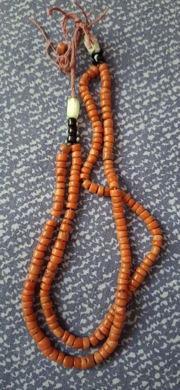 Продам натуральный коралл 1