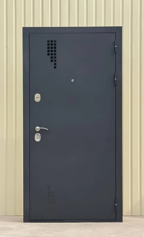 Местный заводские двери 8