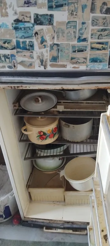 Oka 8 m muzlatkich sotiladi. 1