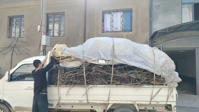 Вывоз строймусор мусор хлом 24 часа Чангам и лаба