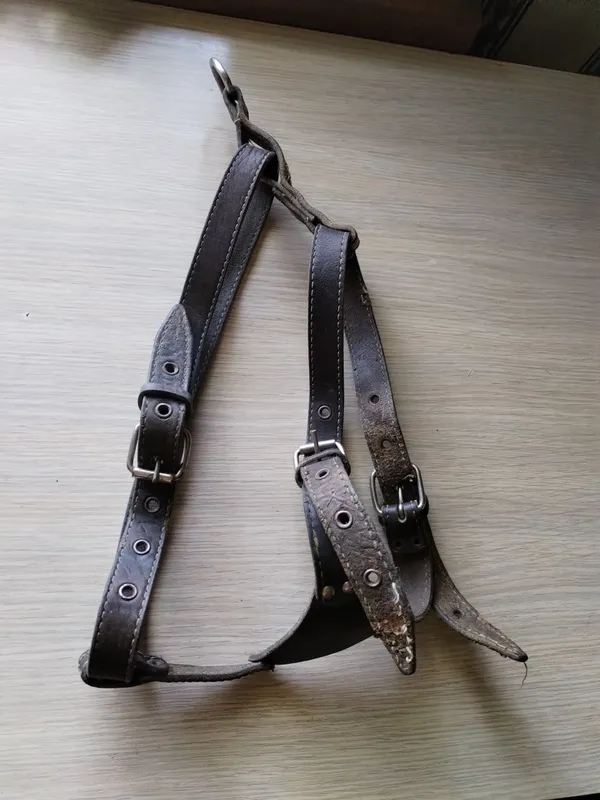 Накидка дождевик для собак. ШЛЕЙКА ЙКА КОЖАНЫЙ — фото 3