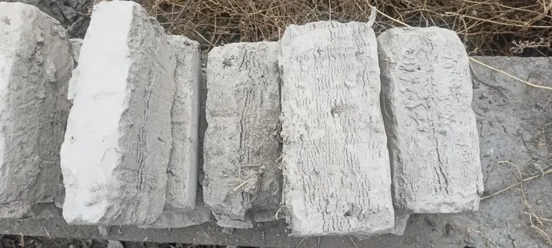 Xom Ġisht zavodniki xolati zor