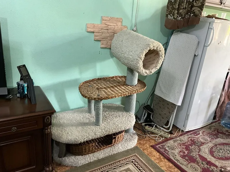 Шикарная когтеточка для кошек. 3