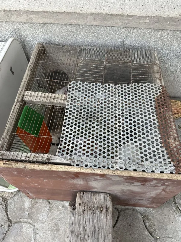 Quyon bolari zoti kaliforniya kasali yo 1 Quyon bolari zoti kaliforniya kasali yo 1