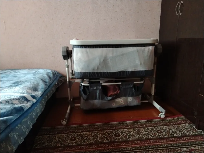 elektroni devancha