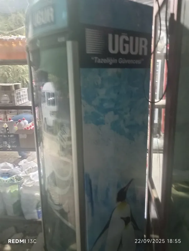 Uğur holodelnigi holati ideal, ishlashi a'lo — фото 2