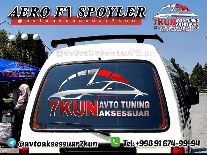 DAMAS AERO F1 spoyler