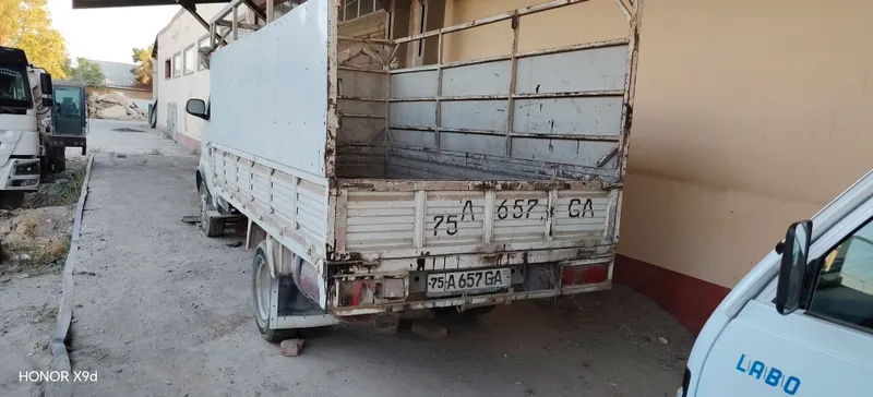 Cchangan qosh balonli katta labo sotiladi — фото 1