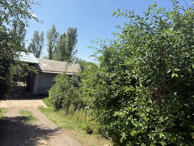 Hovli sotiladi , qurilgan uyi ham bor ichida — фото 1