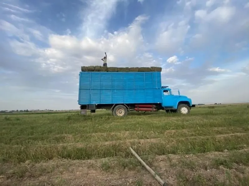 Zil sotiladi 130g 5 Zil sotiladi 130g 5