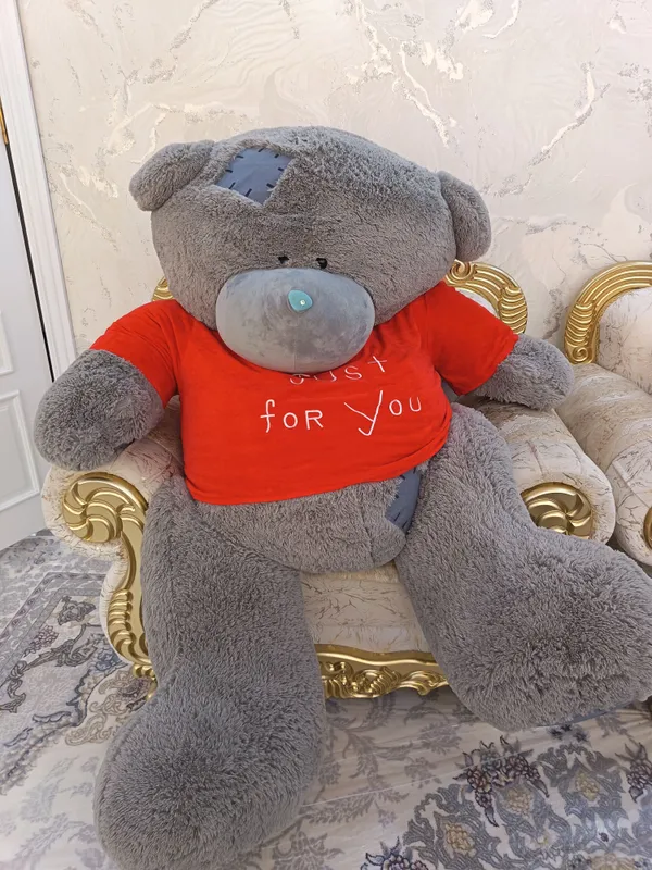Teddy ayiq