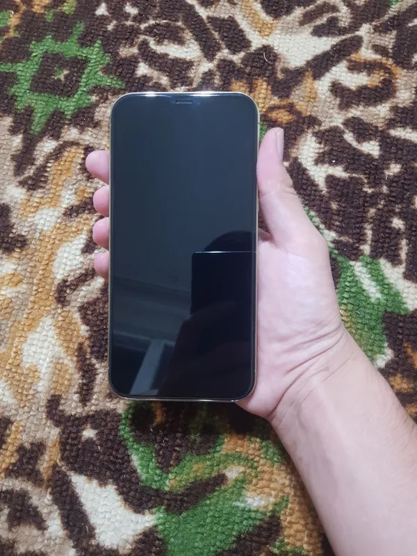 iPhone 12 pro max LLA