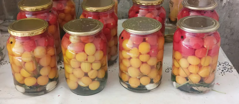 Cheri pomidordan bonka yopilgan,sotiladi 2 Cheri pomidordan bonka yopilgan,sotiladi 2