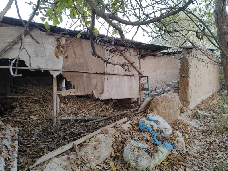 Xasanboy sixatgox 2 berk koʻchasi 9 uyda 2 sotix yer sotiladi — фото 3