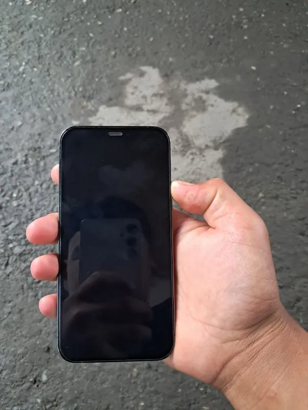 Iphone 12 pro