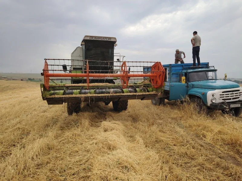 Class Dominator 130 2 Class Dominator 130 2