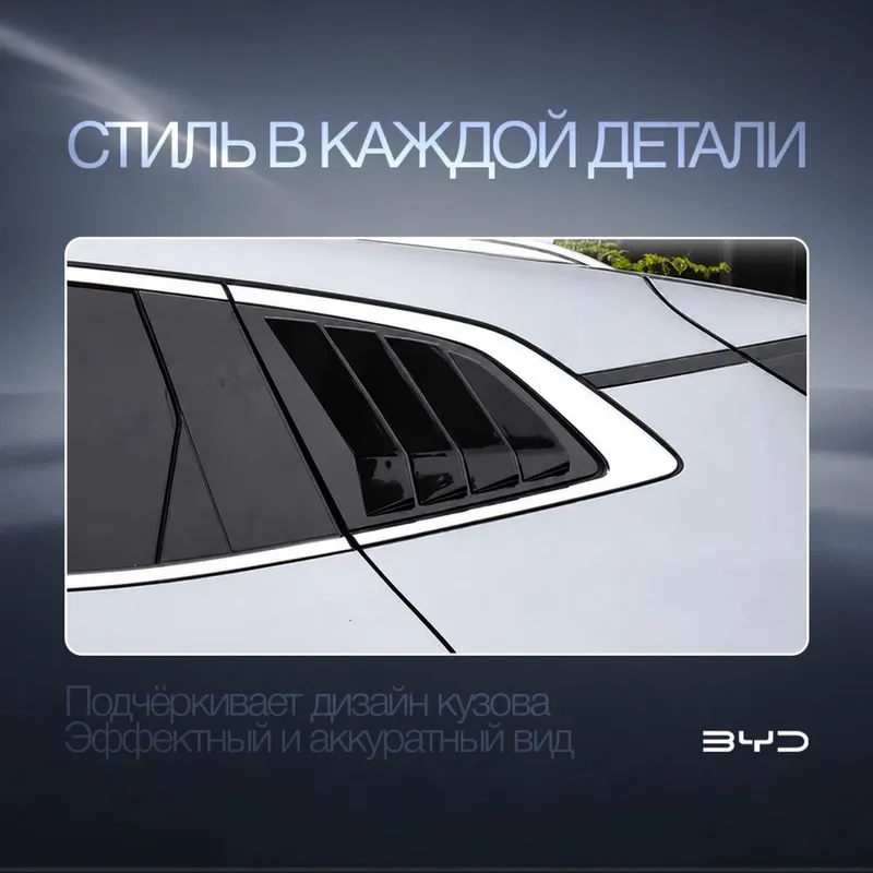Спортивная жабра для BYD Champion — фото 1