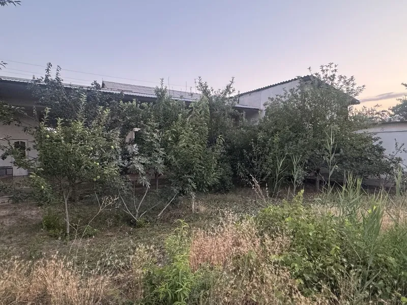 3 paliklinika Nuriddin kilinika kochada yer 5 sotix ozimi uyim 3 3 paliklinika Nuriddin kilinika kochada yer 5 sotix ozimi uyim 3
