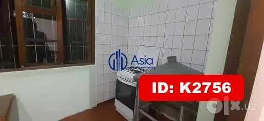 Срочно сдаётся в аренду по низкой цене, K2756, Канечка 5 Срочно сдаётся в аренду по низкой цене, K2756, Канечка 5