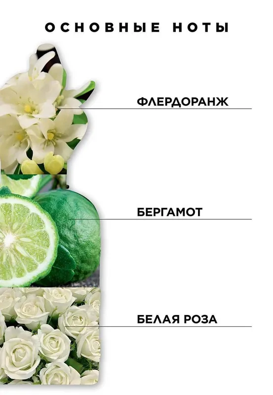Парфюмерная вода для женщин Pour Toujours, 50 мл — фото 1