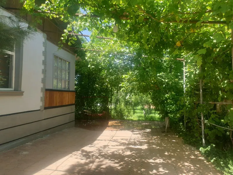 Дача бор кибрей — фото 3