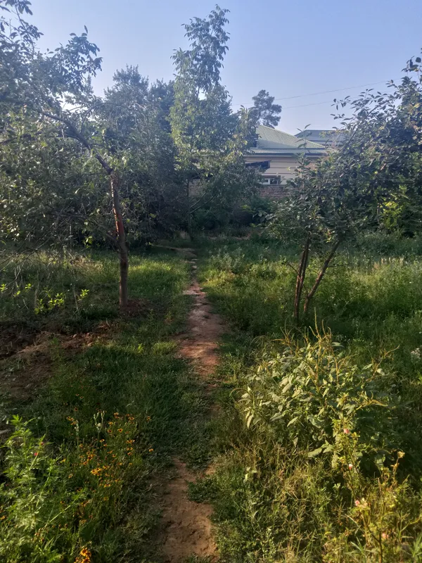 Denov tumani yangi xazarboğda 4sotix yer sotiladi 3