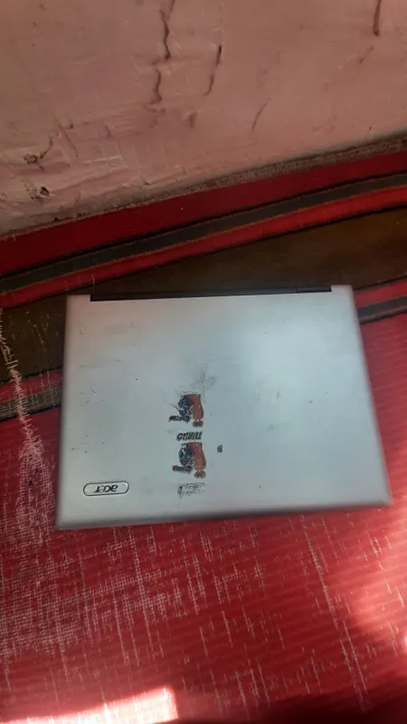 acer