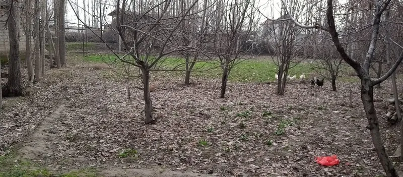 6-sotik yer sotiladi — фото 3