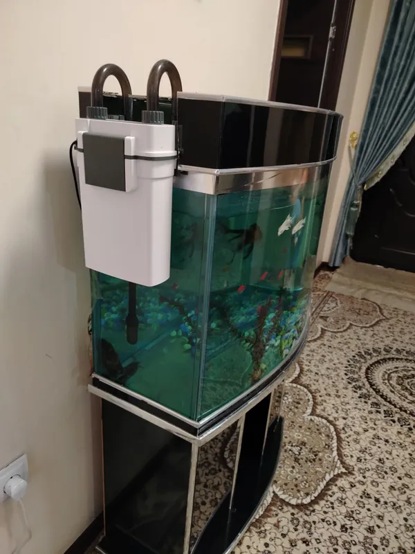 100 litrlik akvarium sotiladi ichida 21 dona balig'i bilan 1