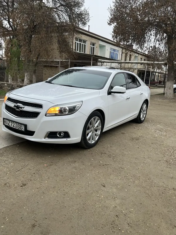 malibu 1. 3 pazitsa full 4