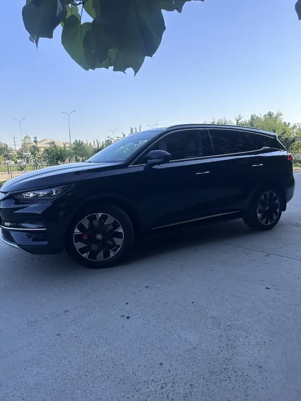Byd Tang bwd tank TANG 2024 EV 735 tali 3 Byd Tang bwd tank TANG 2024 EV 735 tali 3