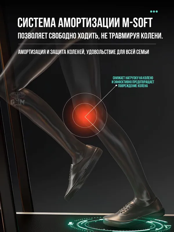 Беговая дорожка, беговая дорожка, begovoy darojka, доставка бесплатная 3