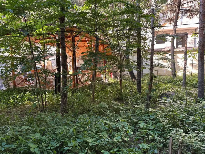 Цокольное помещение в ЖК «La Villa Elite House» 1
