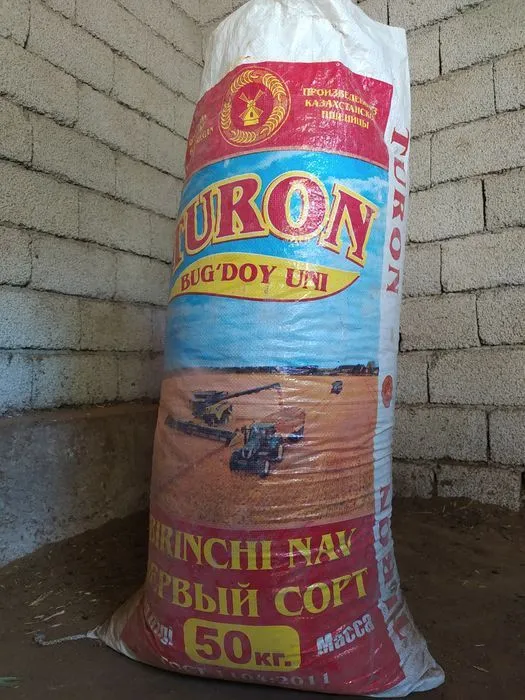 Tabiiy va arzon o‘g‘it – Qo‘y nurrisi sotiladi — фото 1