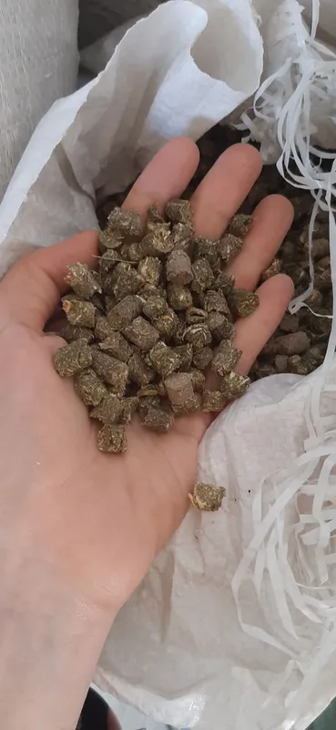 Чорва моллари куйлар учун туйимли озука махсулоти 3 Чорва моллари куйлар учун туйимли озука махсулоти 3