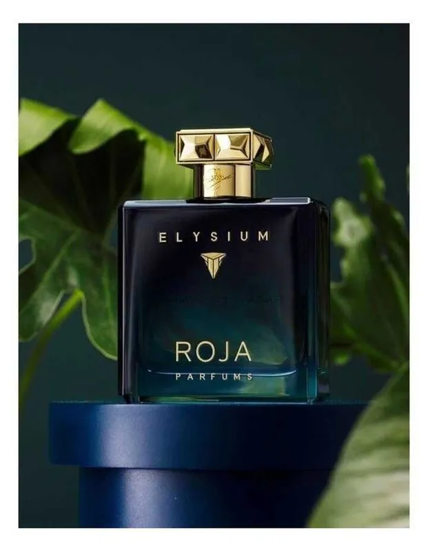 Roja Elysium Pour Homme, Парфюмерная вода произведено в Турции, 100 мл — фото 3