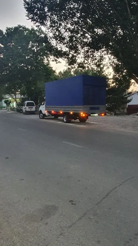 Gazel biznes bo‘rtli tentli
