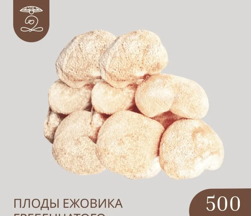 Ежовик грибенчатый капсулы сушенный мицелий 2