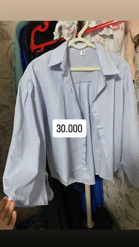 Koylak lar yangi 1