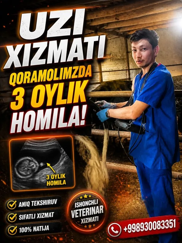 Veterinariya xizmati 24/7 xizmatda — фото 2