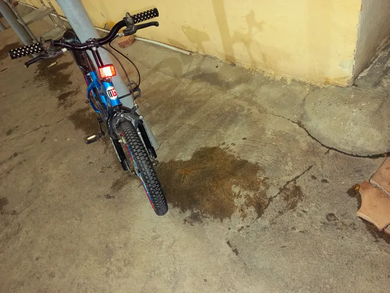 Mogoo clasik 2 Mogoo clasik 2